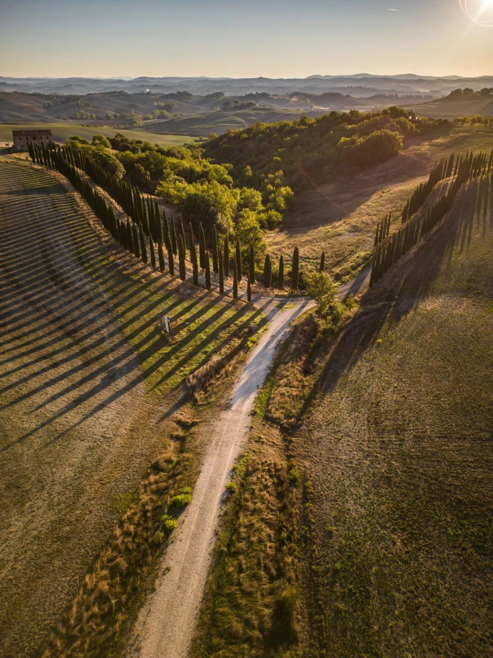 Veduta dall’alto di una strada bianca tra i filari di cipressi