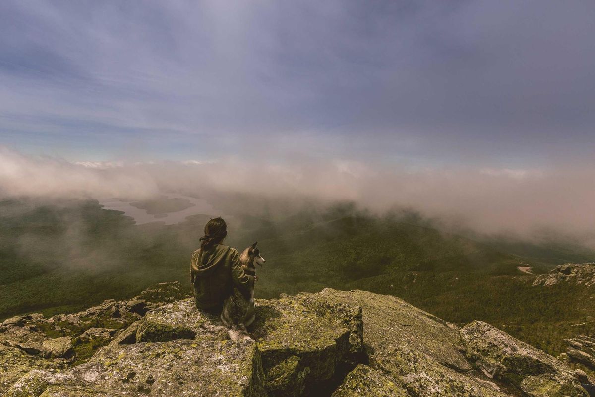 Landscapes photograph — Valley fog