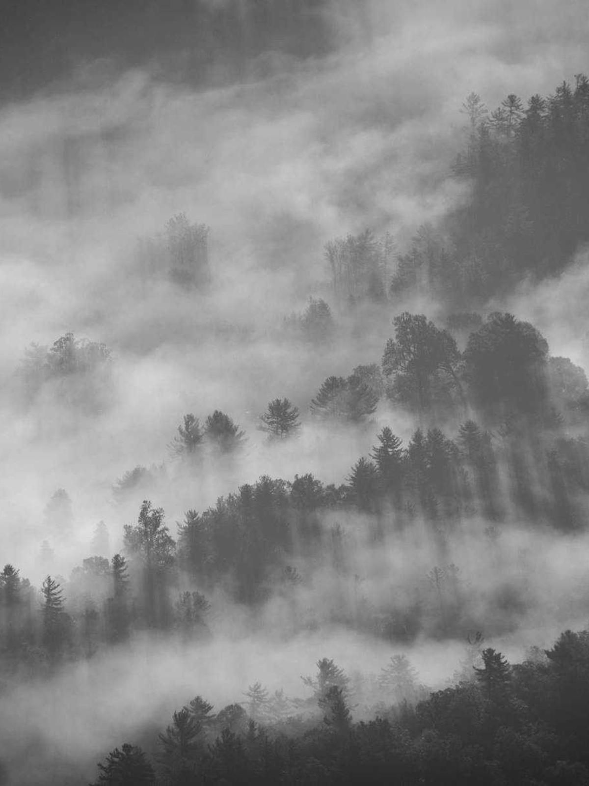 Portraits photograph — Morning light