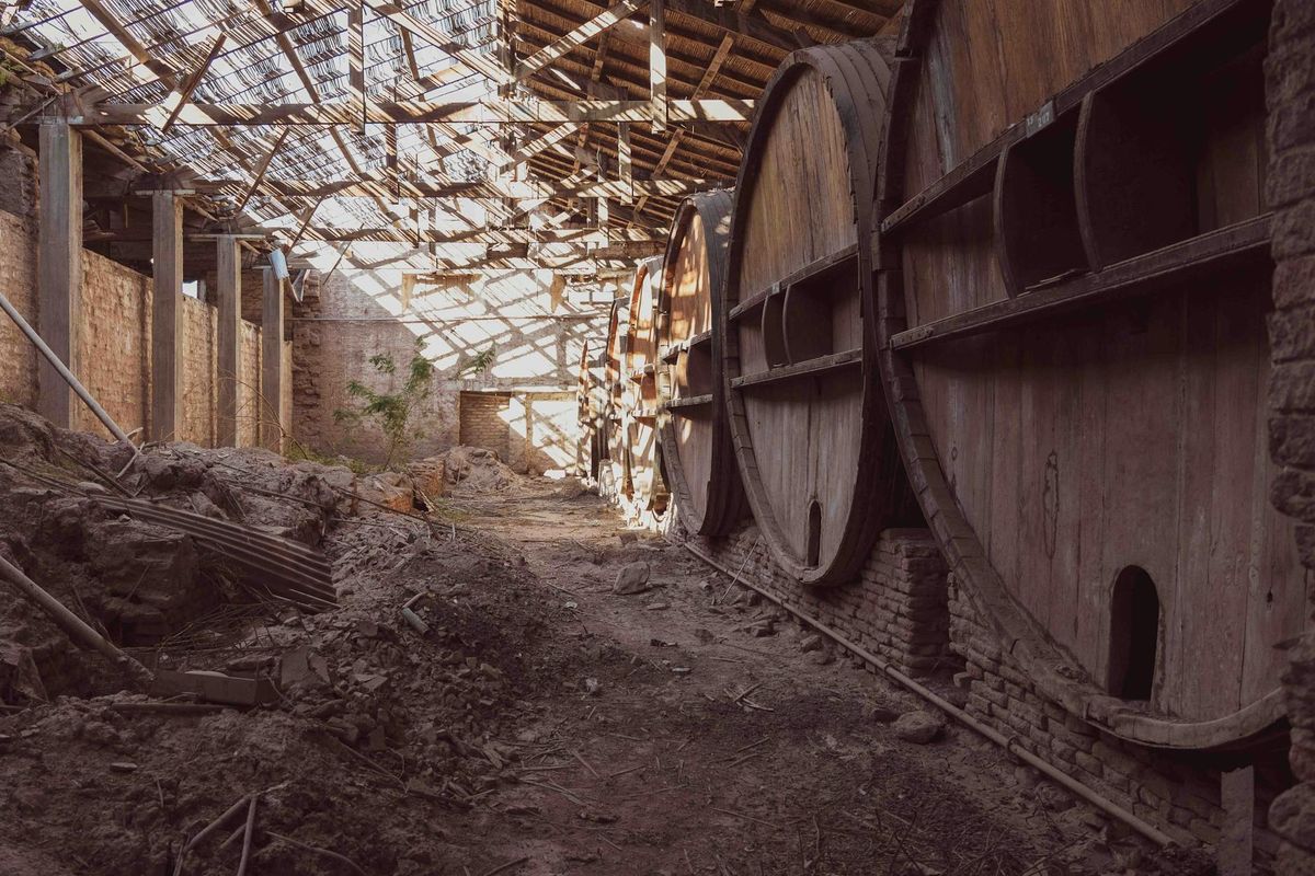 A rustic abandoned wine cellar with large wooden barrels, evoking a sense of history and decay.