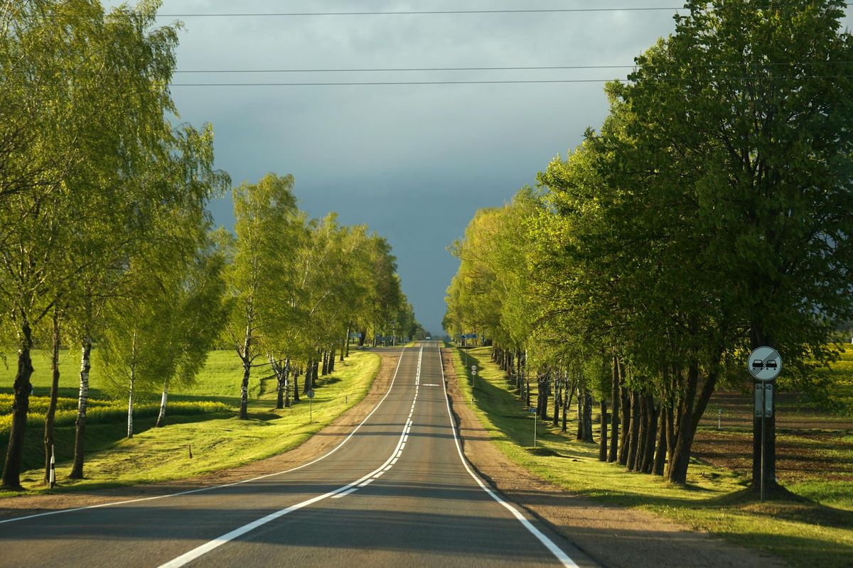 Peaceful highway lined with lush trees under a cloudy sky.
