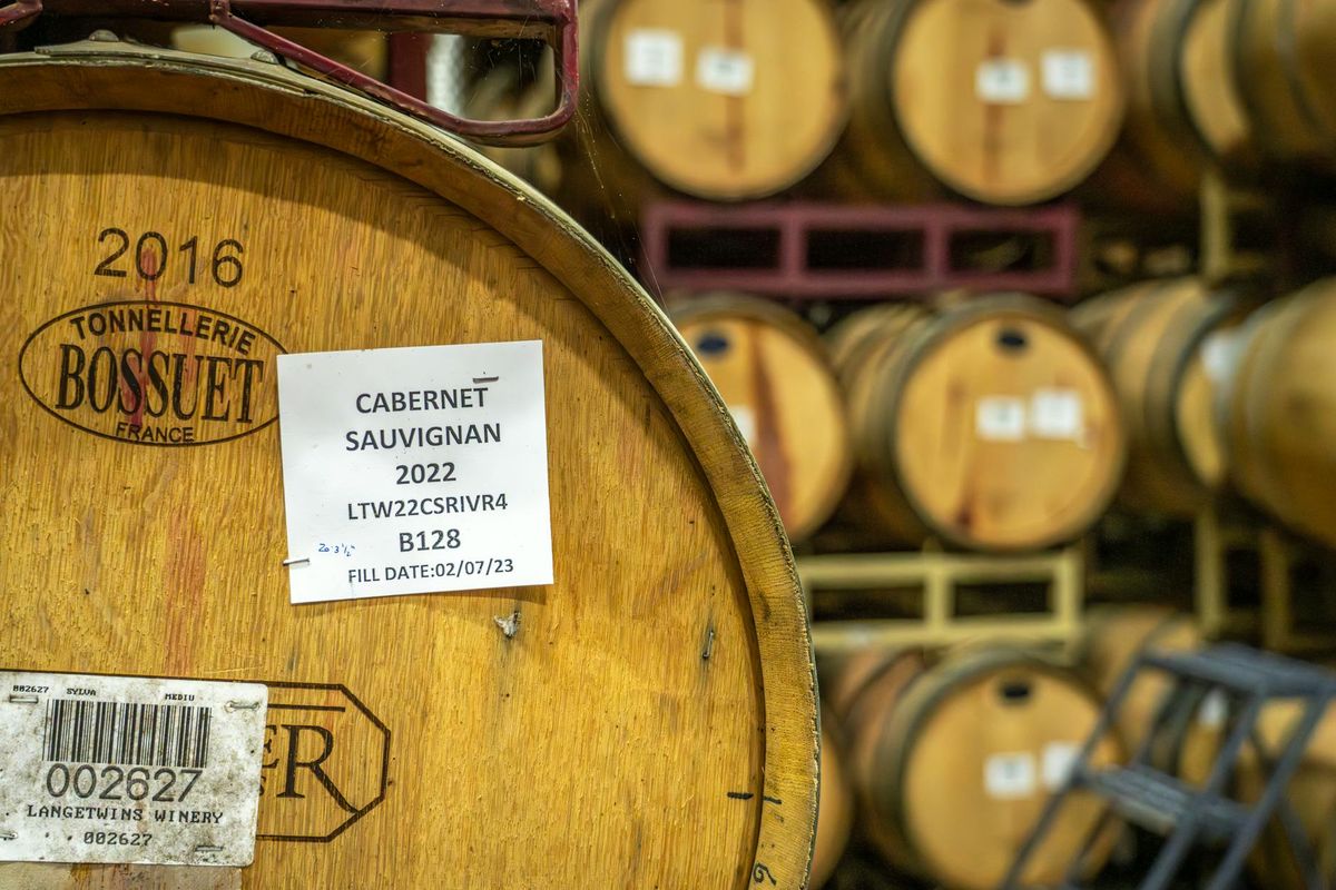 A rustic wine cellar filled with Cabernet Sauvignon barrels, showcasing vintage charm.