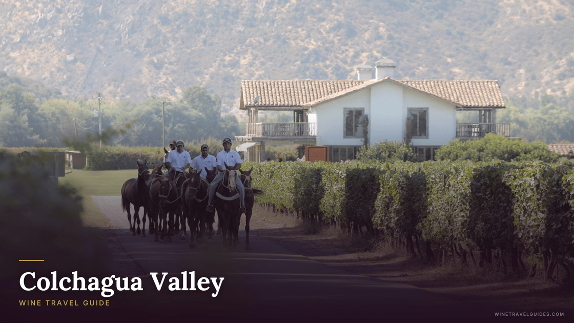 Colchagua Valley Wine Guide: Chile