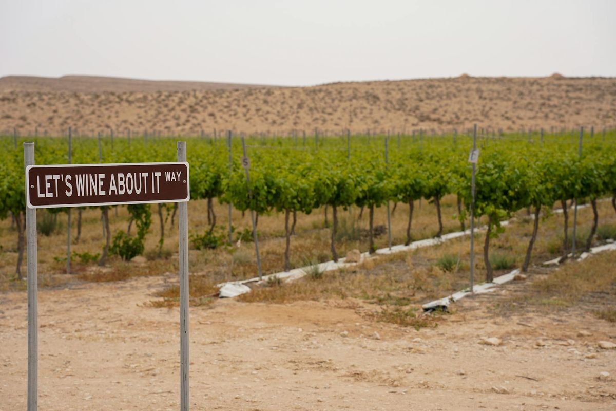 A whimsical road sign in a vineyard in South District, Israel, surrounded by lush grapevines.