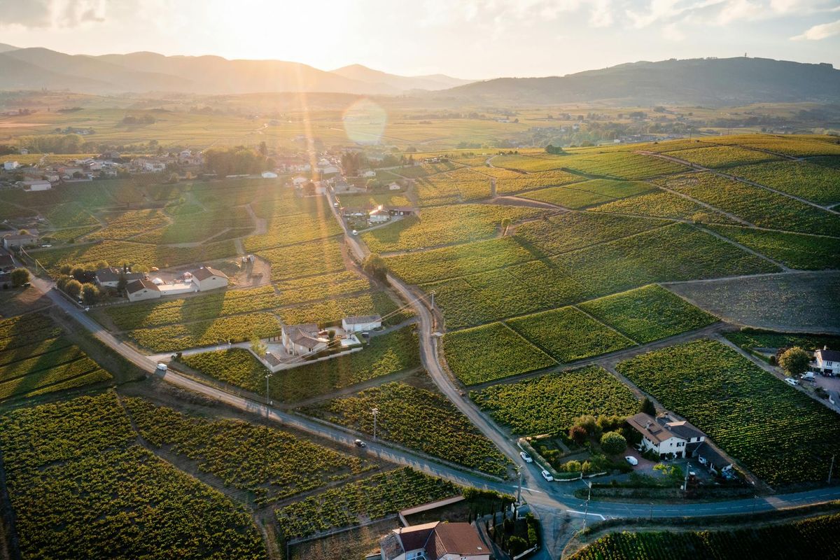 Where to Stay in Beaujolais Wine Country: Complete 2026 Guide — Drone shot of the picturesque vineyards in Villié-Morgon, France at sunrise, featuring green fields and rural landscapes.