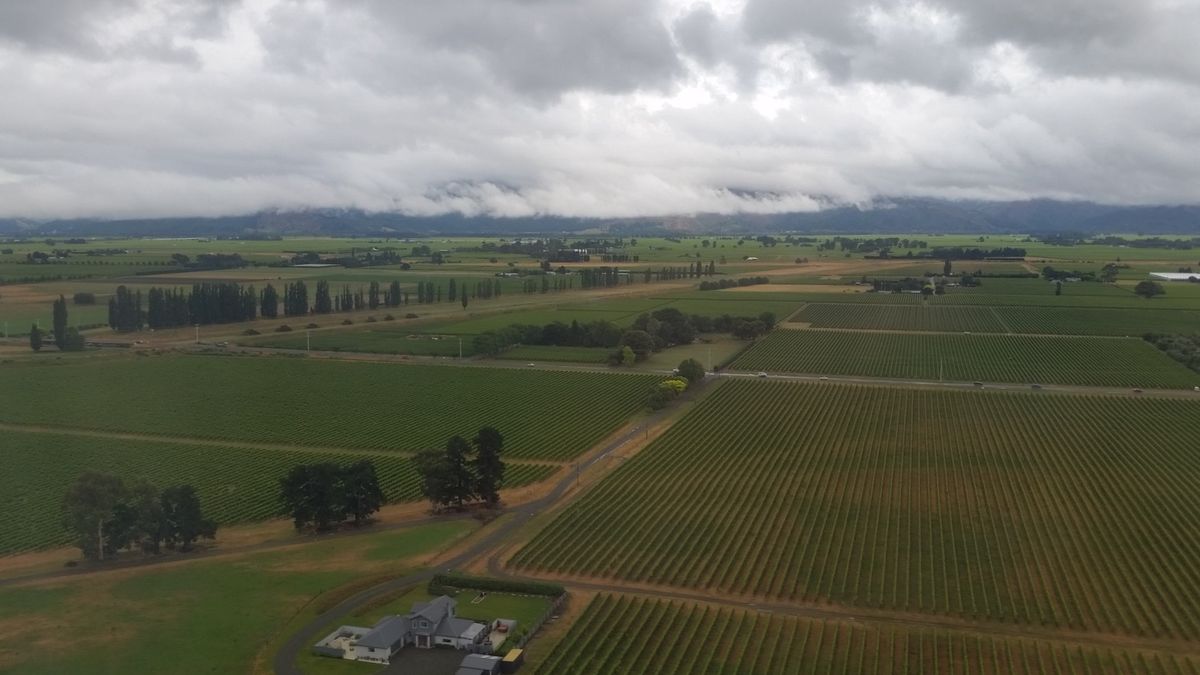 Marlborough vineyard — View of Marlborough vineyards from an airplane just outside the Blenheim airport
