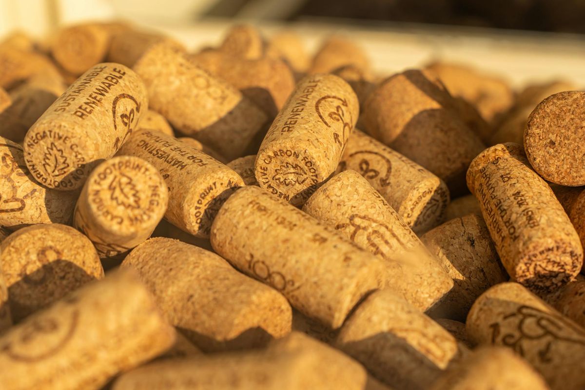 Close-up of renewable wine corks emphasizing sustainability and eco-friendly materials.