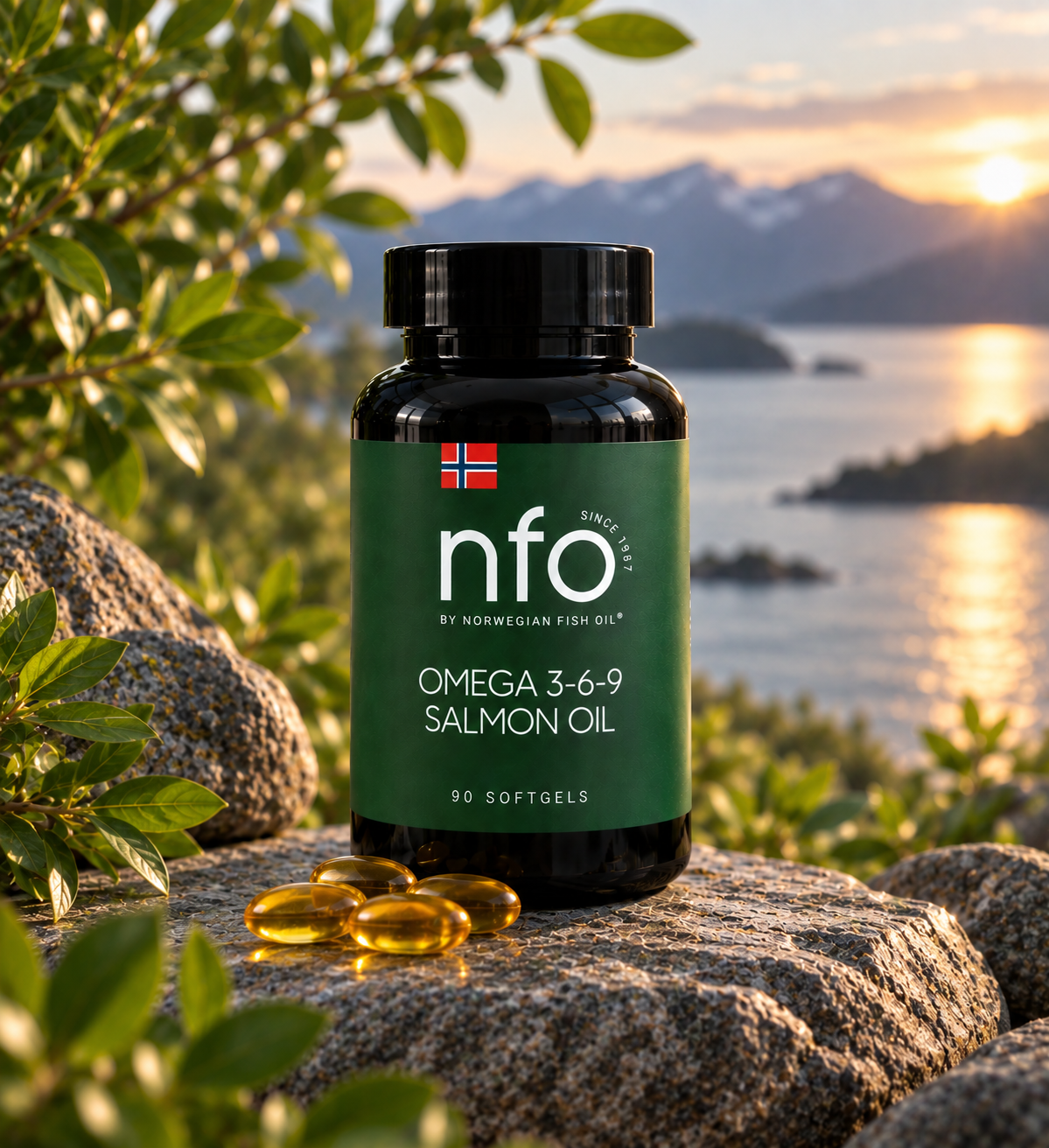 NFO Omega 3-6-9 Salmon Oil packaging
