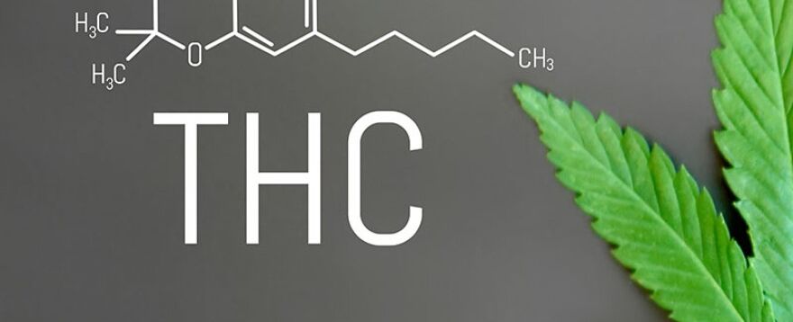Everything to Know About THC