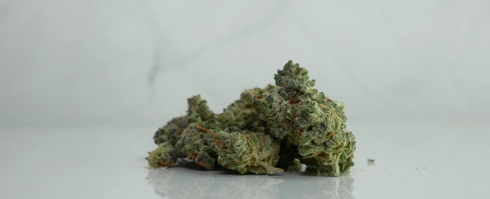 Your Guide to Indica Cannabis Strains