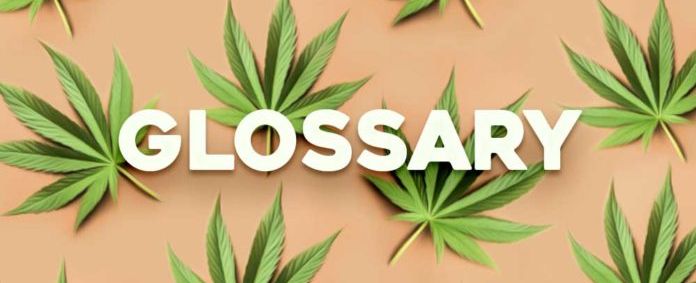Medicinal Cannabis Glossary