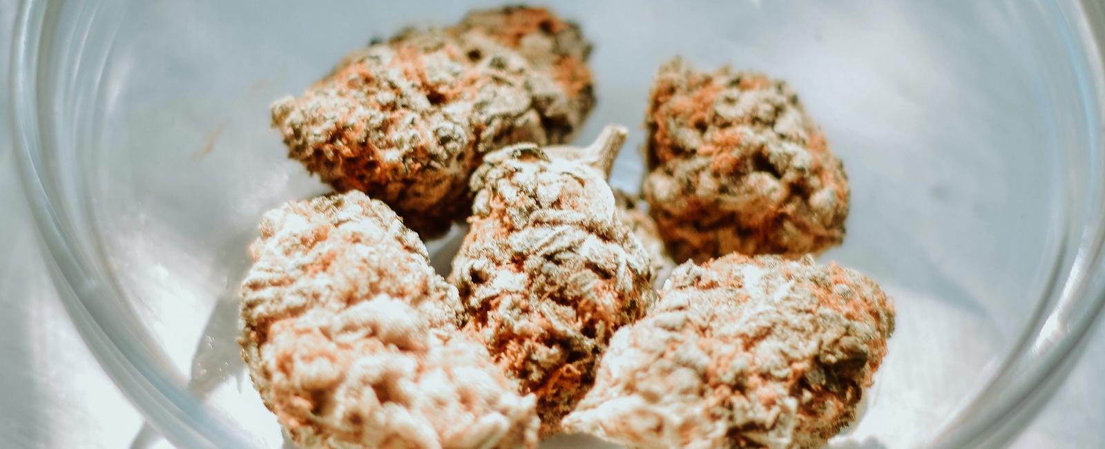 Medicinal Cannabis Edibles