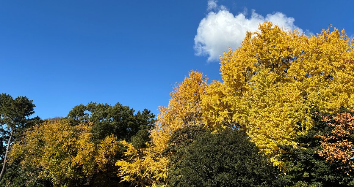 勉強が苦手な子にシルバー家庭教師のすすめ