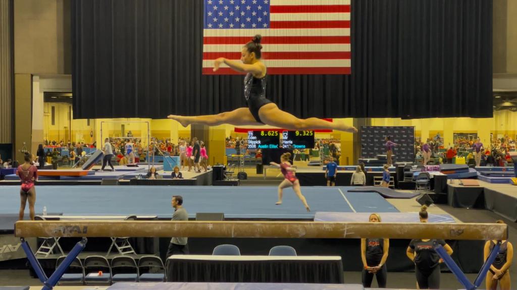 Brown's Gymnastics competitive athletes