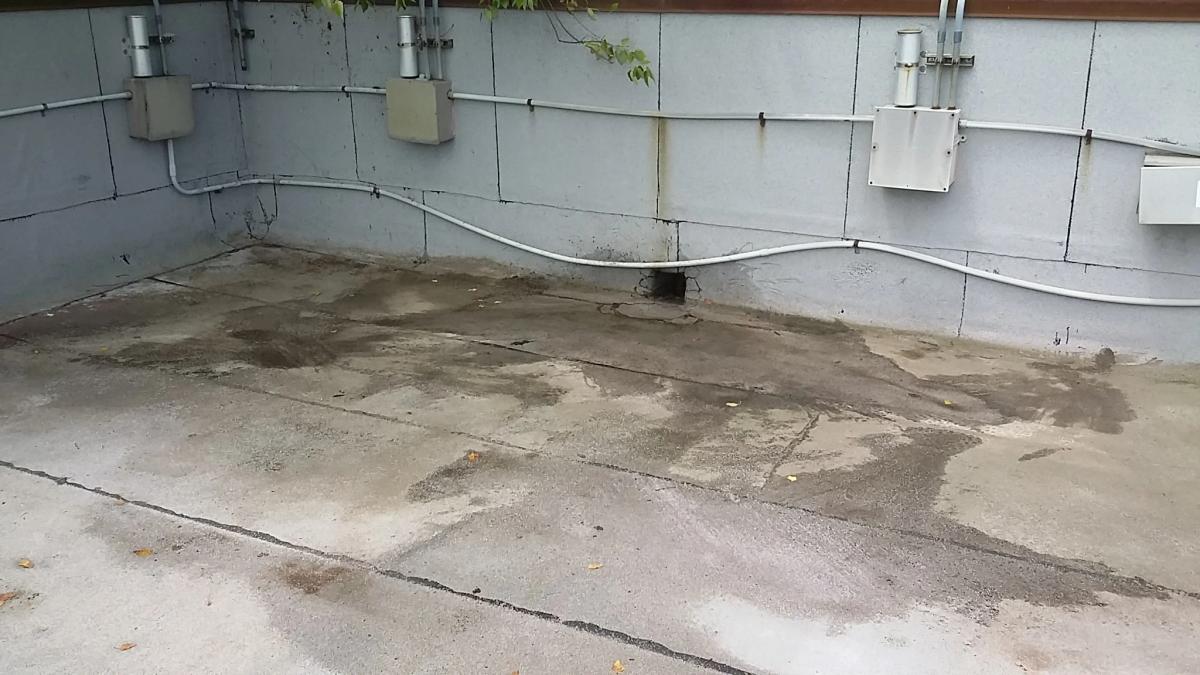 The same roof section with the shrub and debris cleared, the standing water gone and the outlet through the parapet wall open