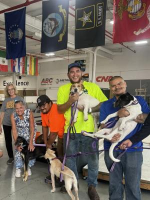 Teammates and rescue volunteers holding shelter dogs on leads in the RoofingSource training bay, under the flags.