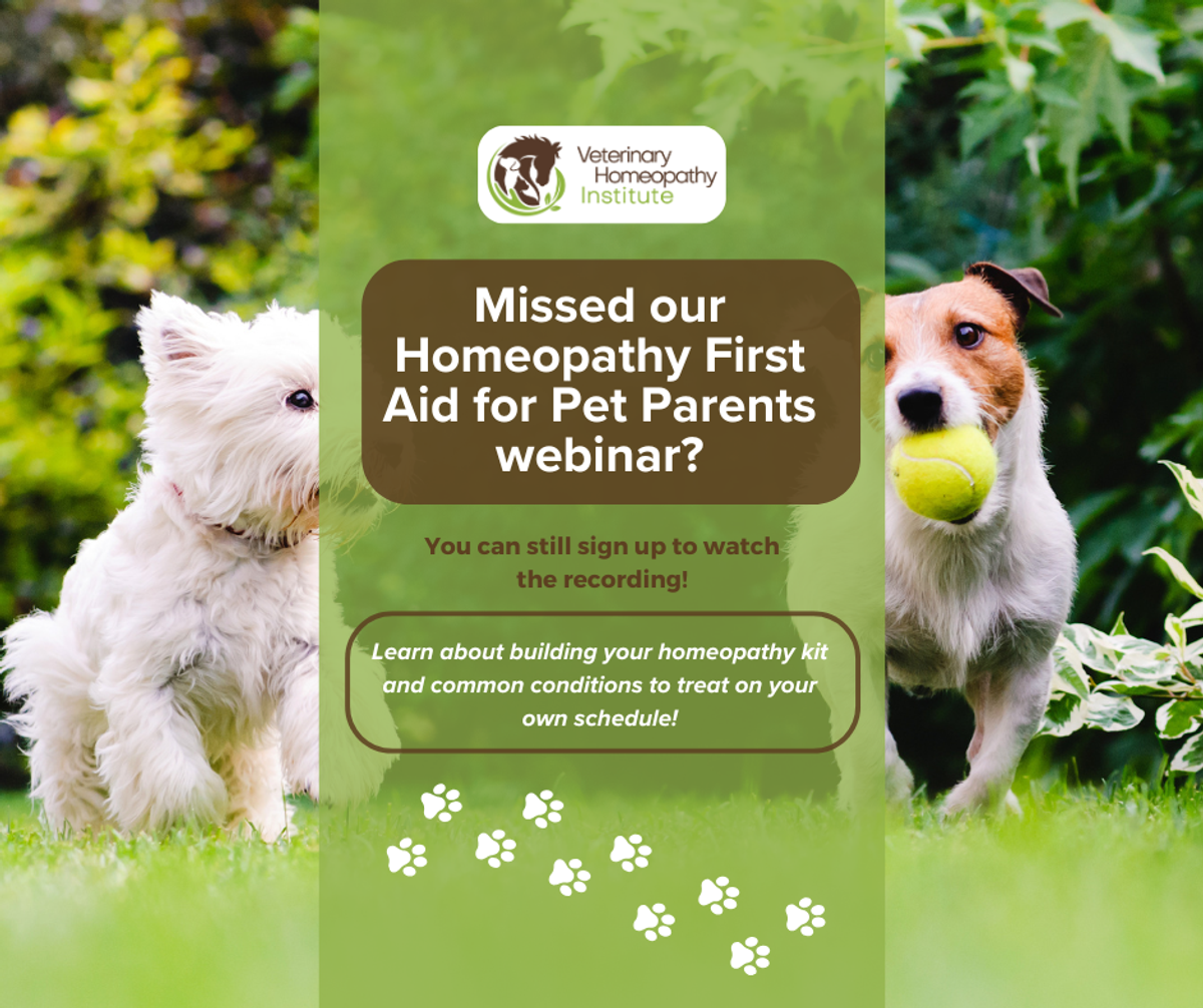 Missed our Homeopathy First Aid for Pet Parents webinar? Sign up to watch the recording