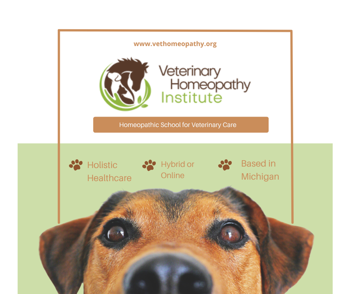 Veterinary Homeopathy Institute — holistic, hybrid or online, based in Michigan