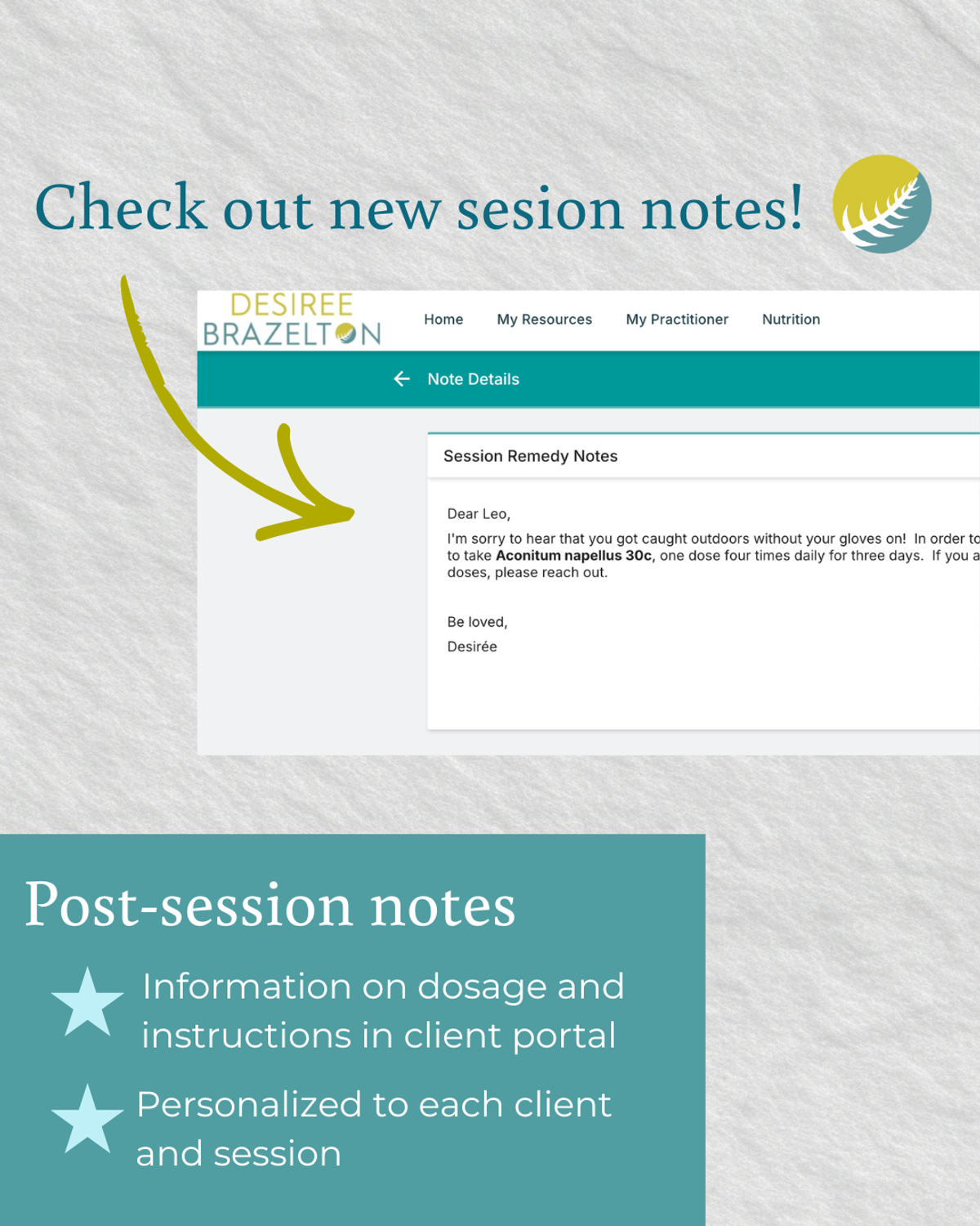 Post-session Notes — client-portal feature announcement