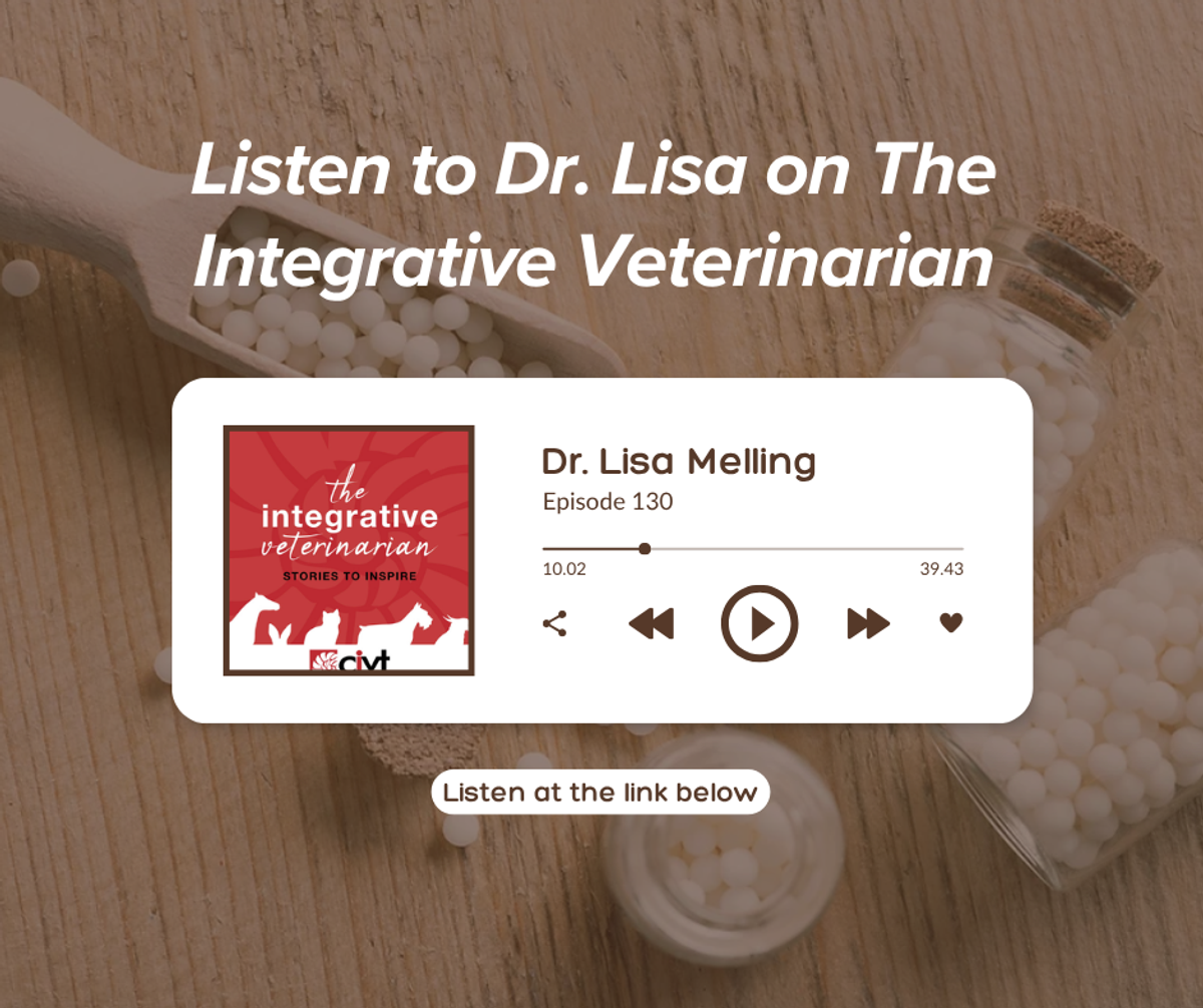 Veterinary Homeopathy School