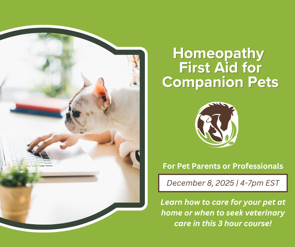 Homeopathy First Aid for Companion Pets — short course, December 8 2025