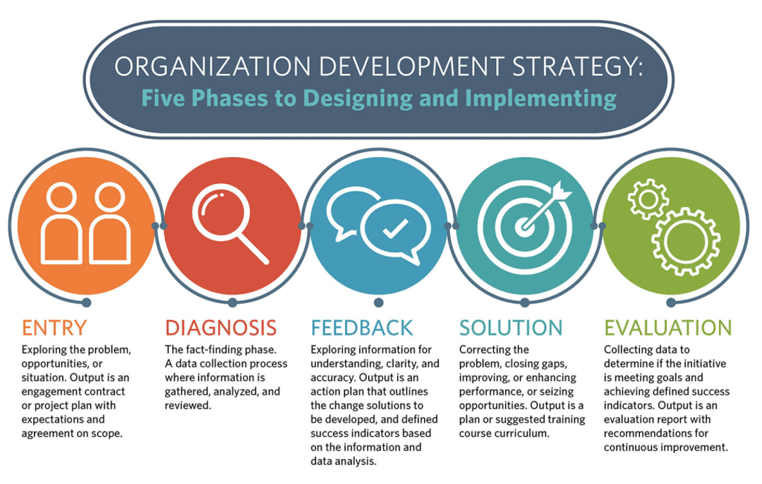 Organizational Development: The 5 Key Stages of OD | Eddy
