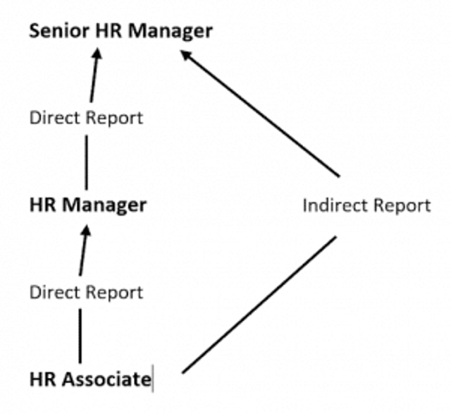 Direct Reports: Importance + How to Manage in 2021