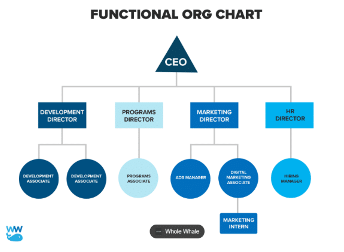 Organizational Chart: 4 Steps To Create Your Own in 2023