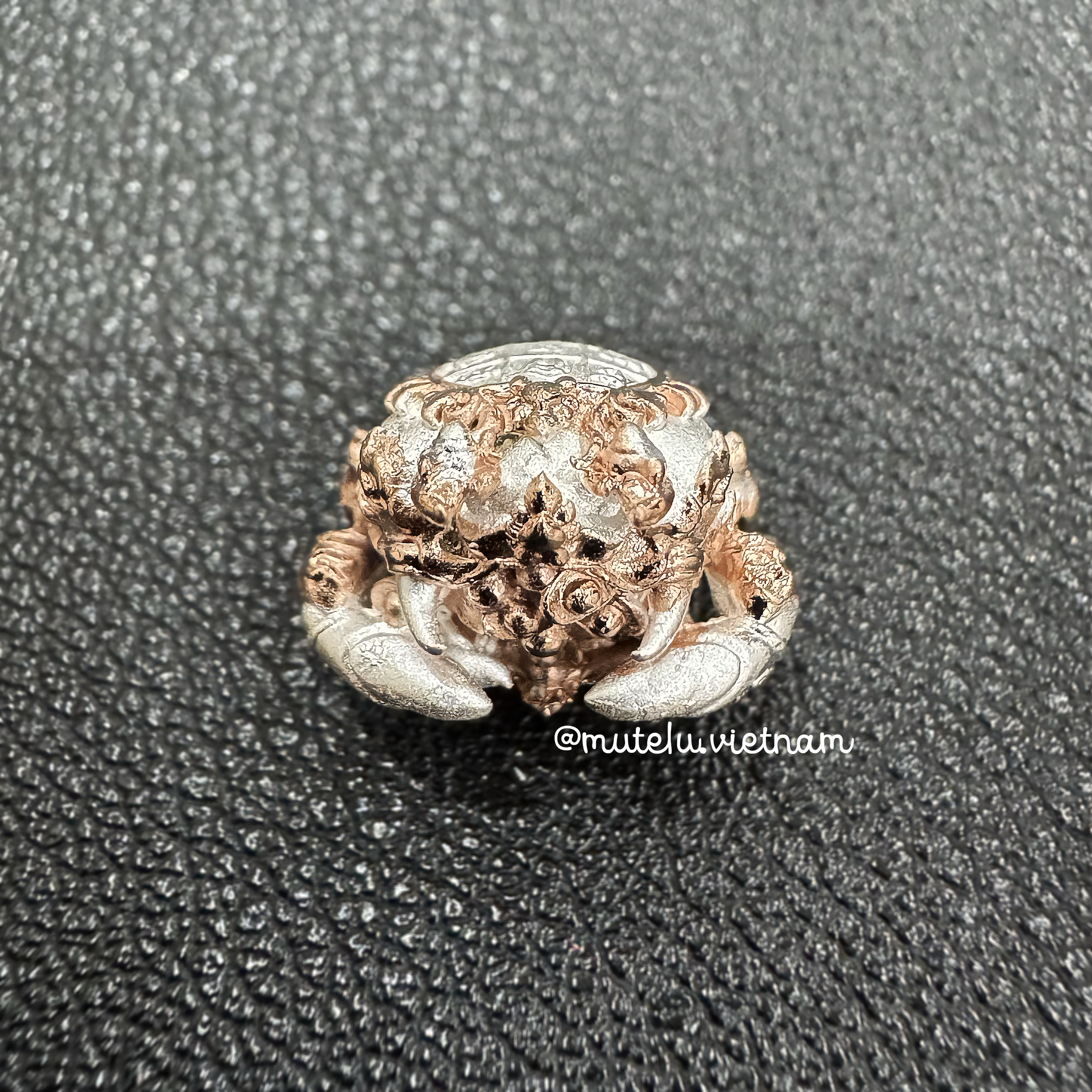 Cua kẹp tài lộc - Luang Pu Nim — 5