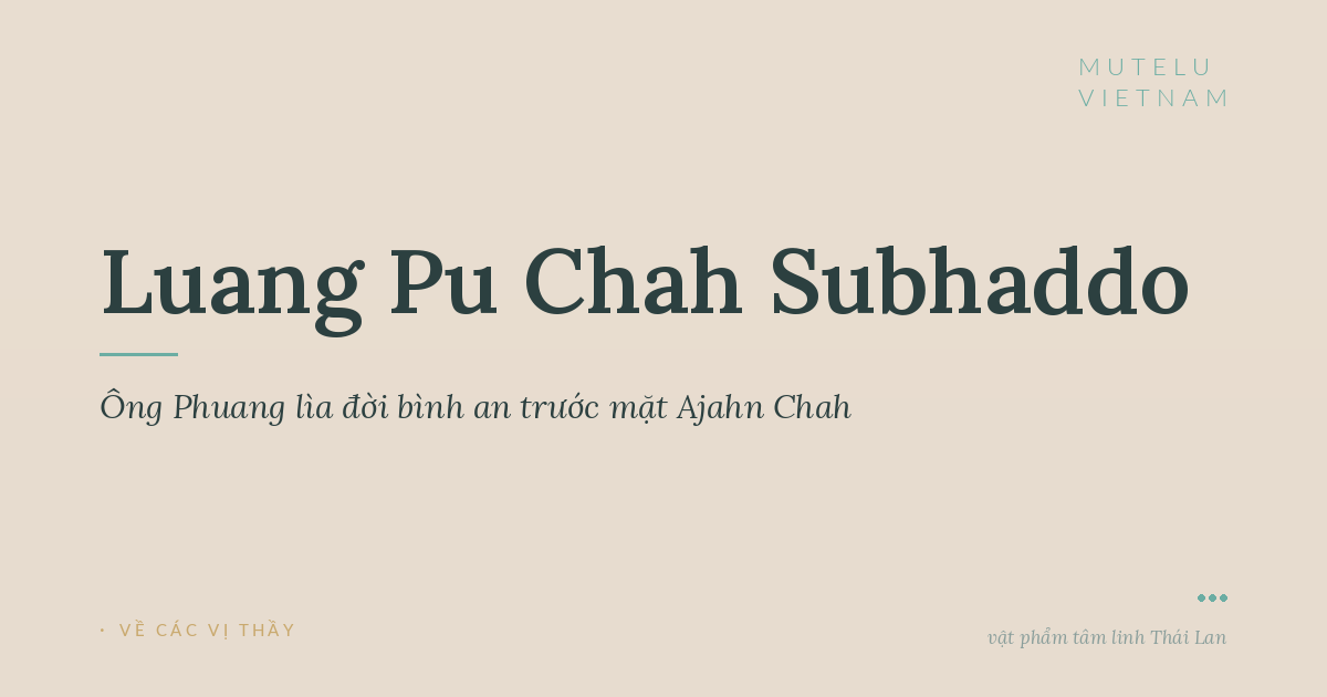 Ông Phuang lìa đời bình an trước mặt Ajahn Chah