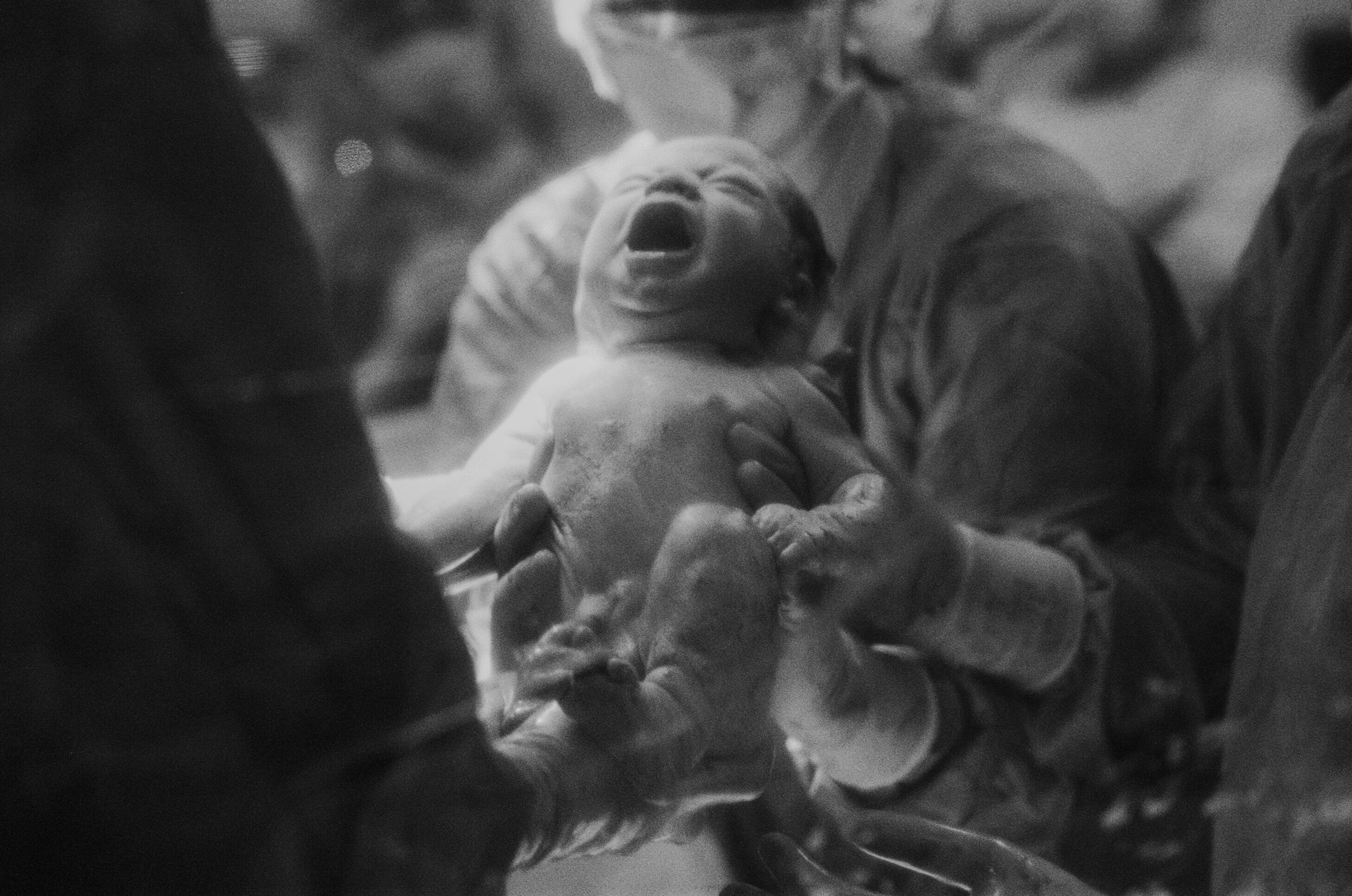 Sacred Cesarean