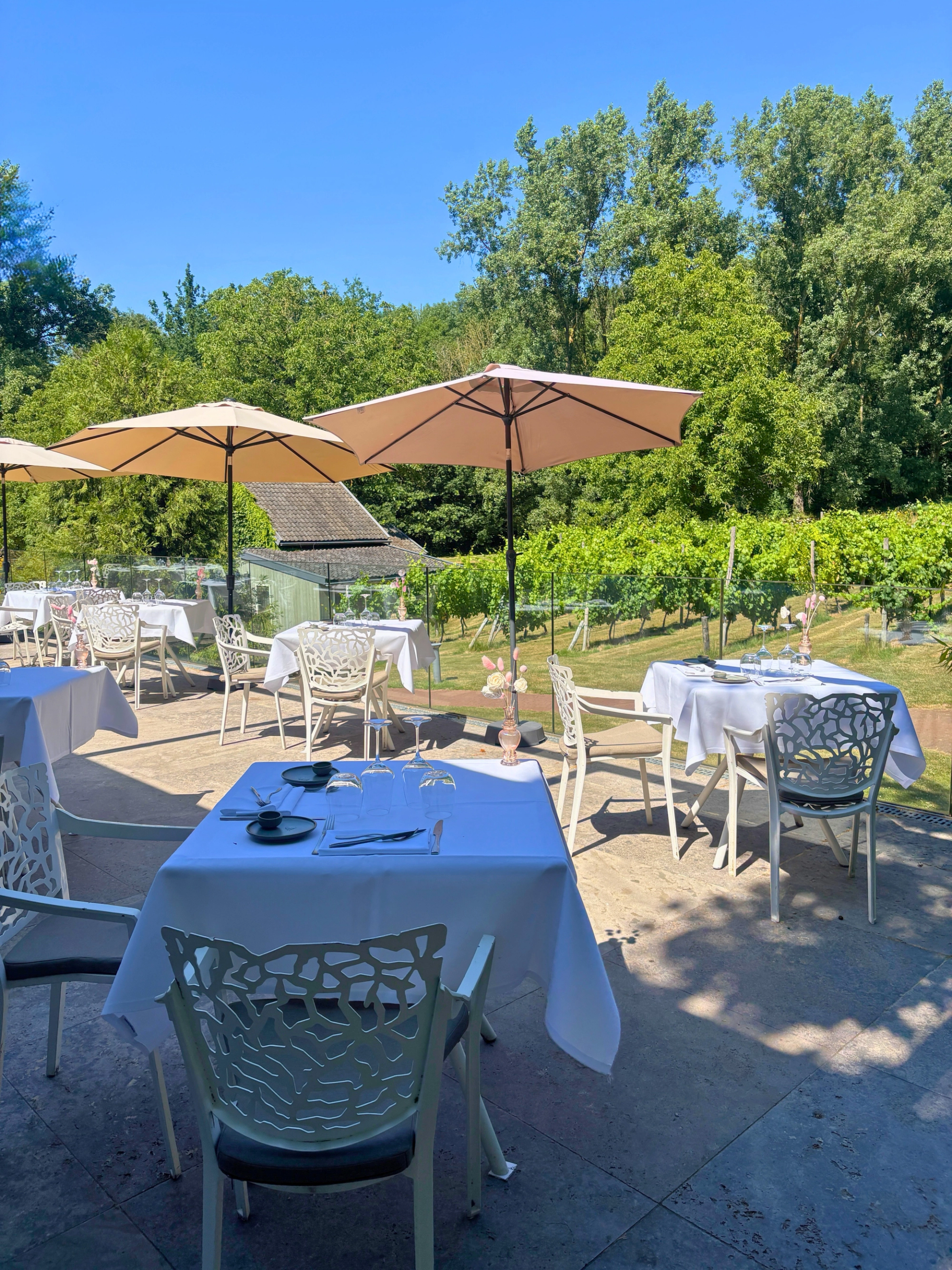 Terrace with laid tables and views over the vineyard at Hotel Winselerhof