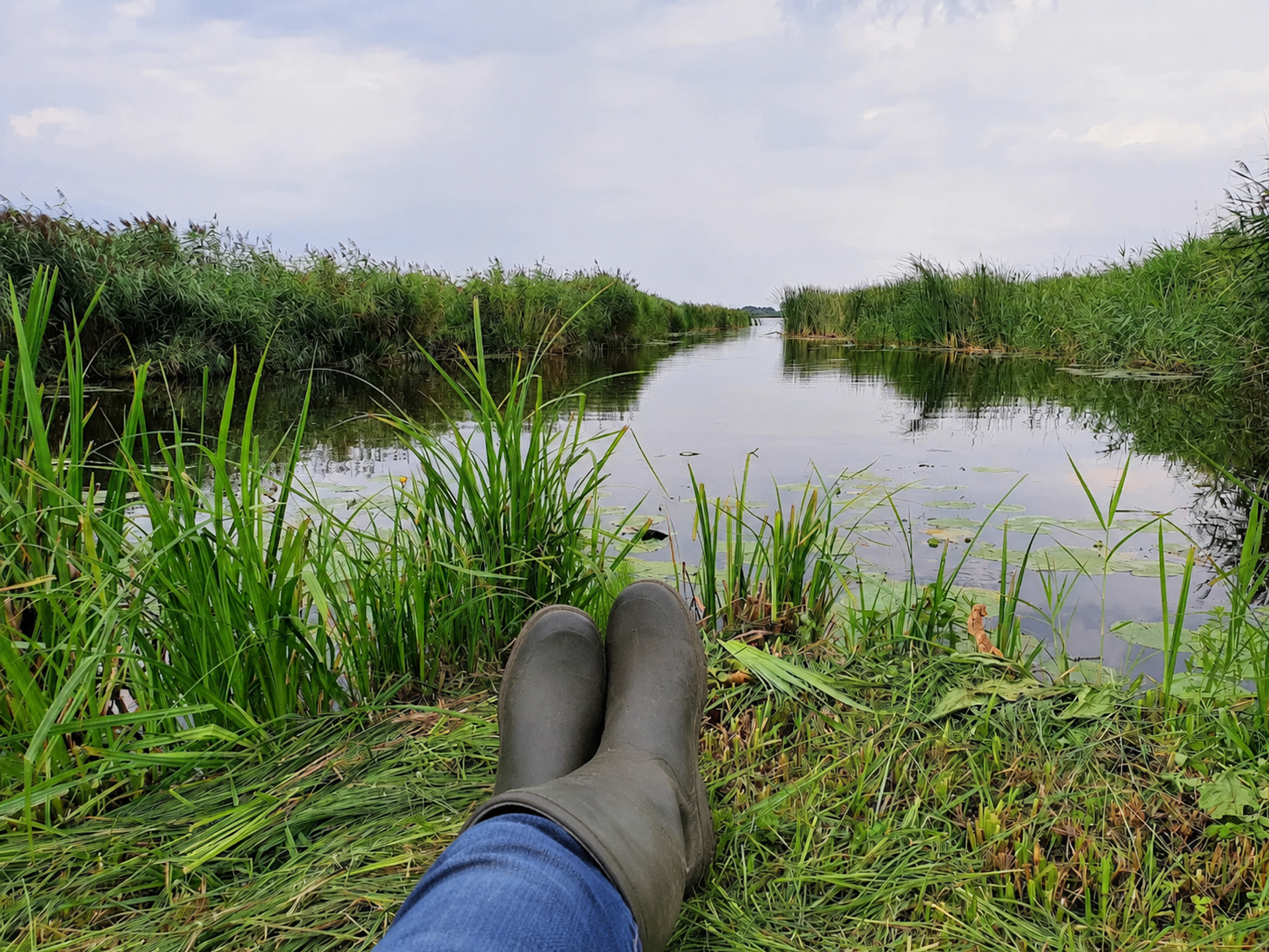 Laarzen op een laarzenpad in Overijssel