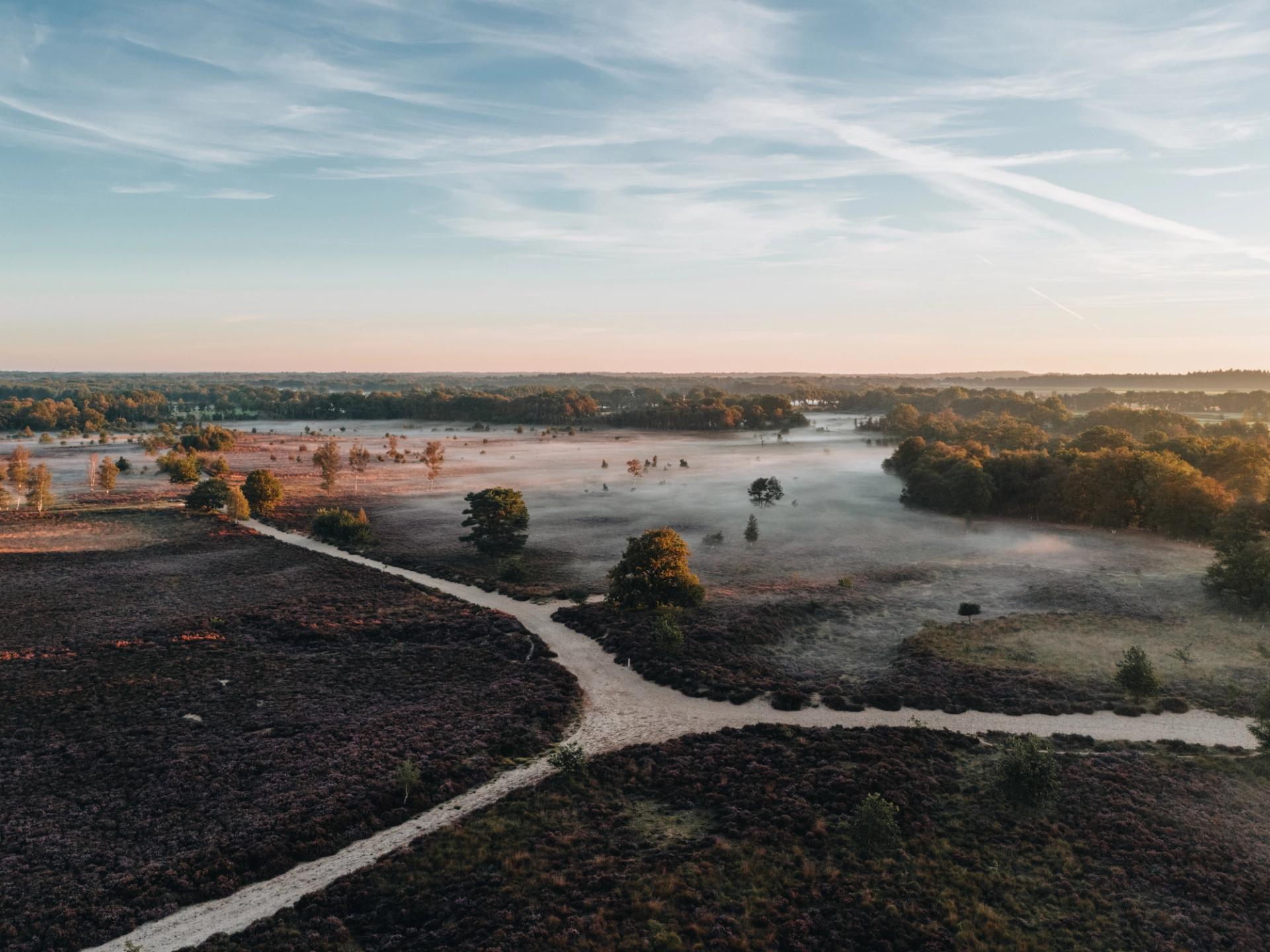 Het Drentse landschap van de Hondsrug in ochtendmist met warme tinten