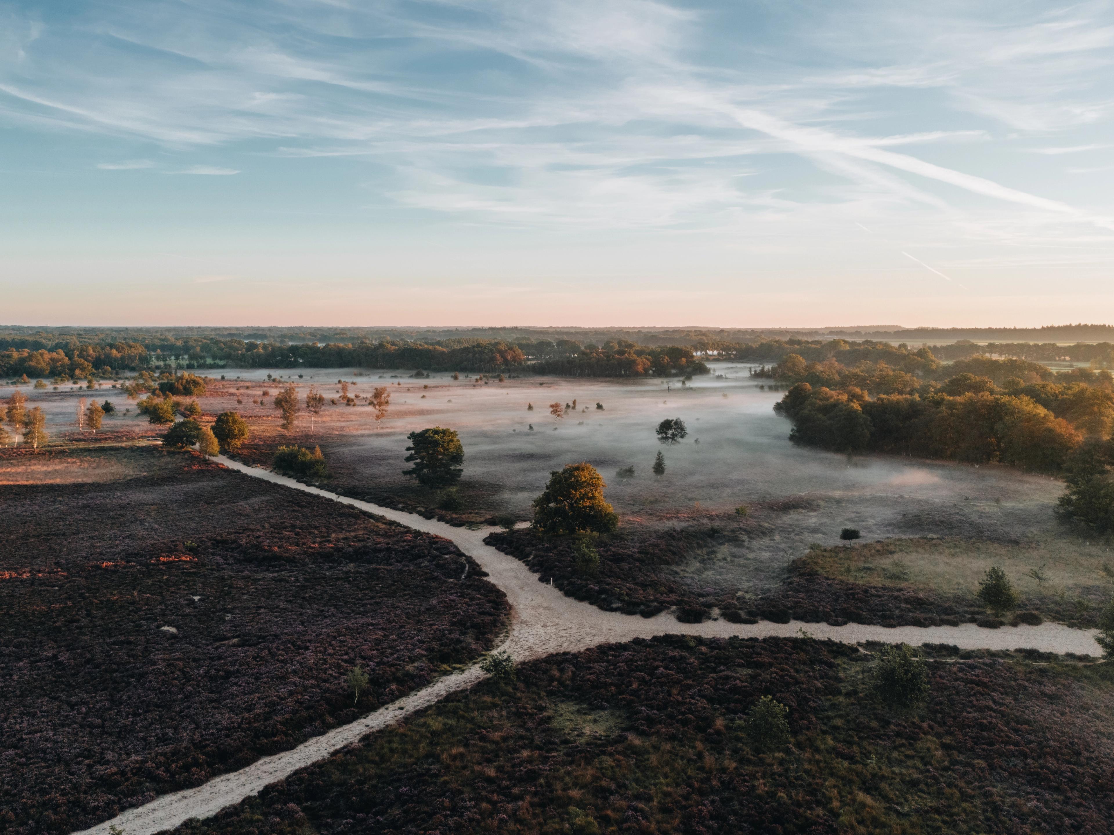 Het Drentse landschap van de Hondsrug in ochtendmist met warme tinten