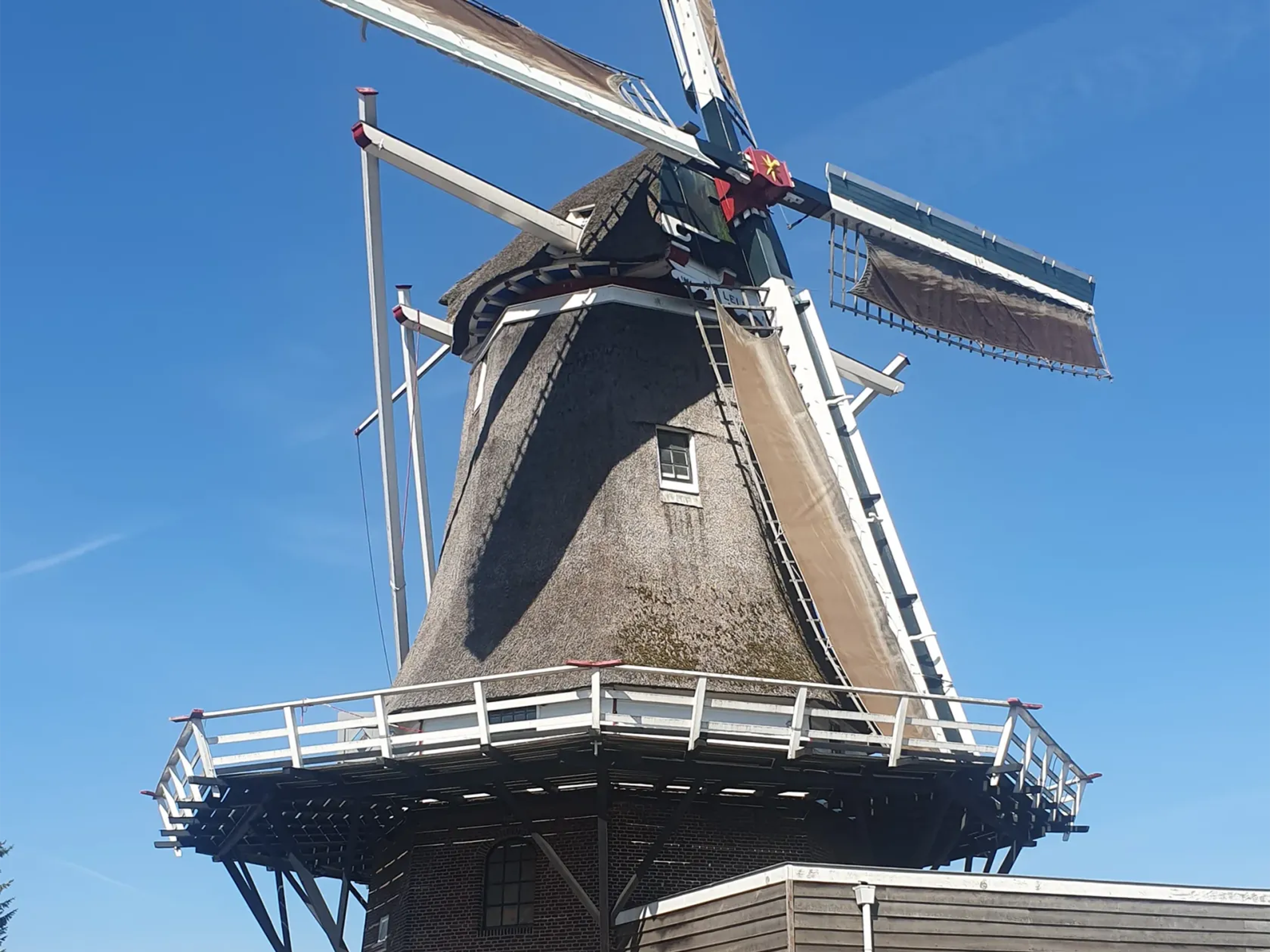 Houten korenmolen met wieken tegen een strakblauwe lucht in Ommen