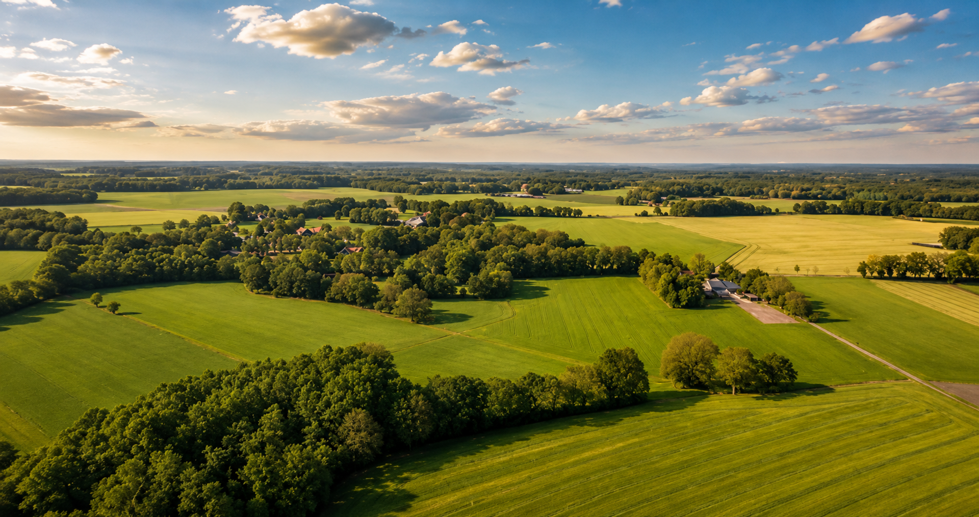 Luchtfoto van het Twentse landschap met groene akkers, houtwallen, bossen en karakteristieke boerderijen onder een uitgestrekte lucht.