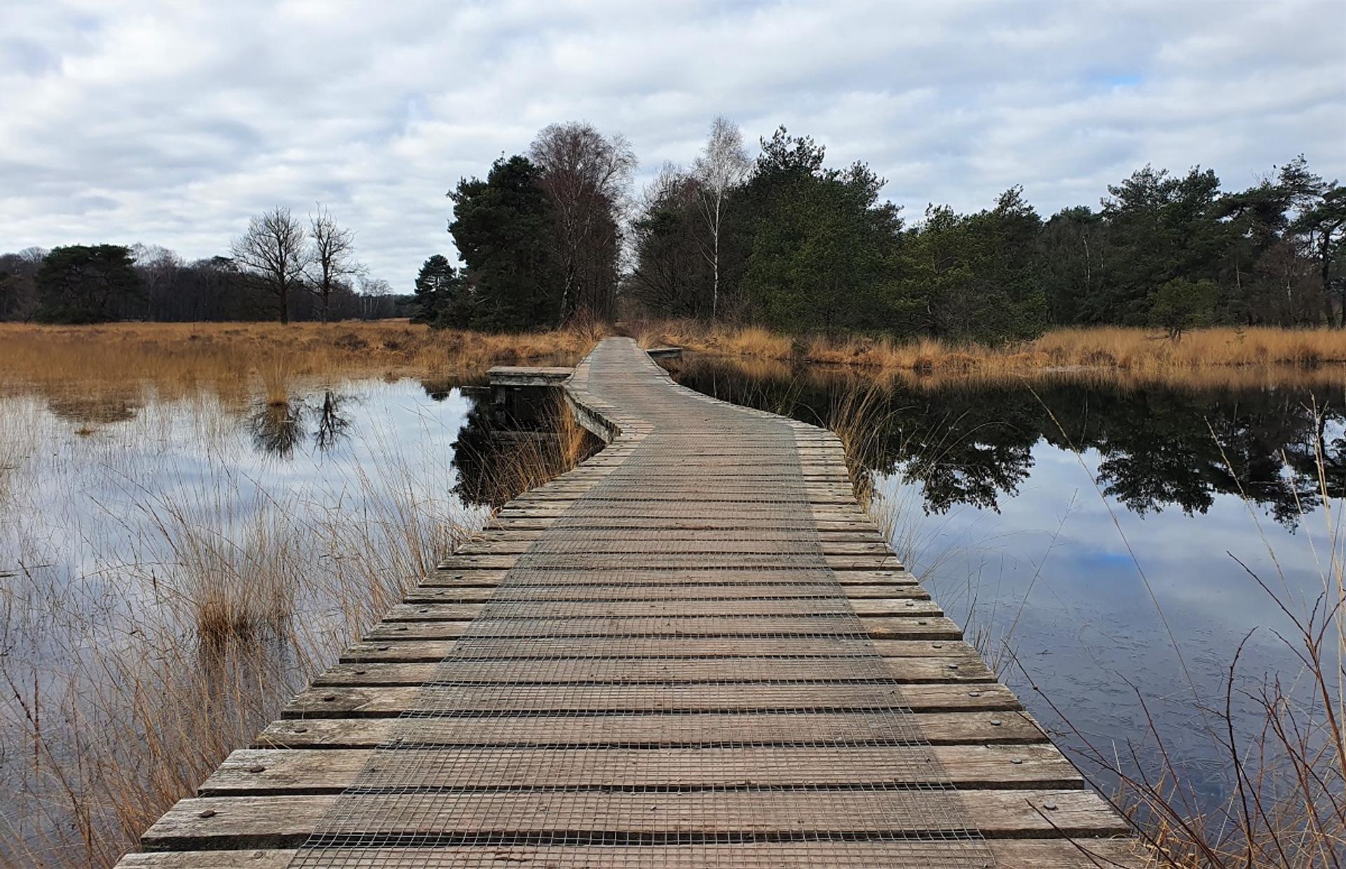 Wandelen in Achterhoek