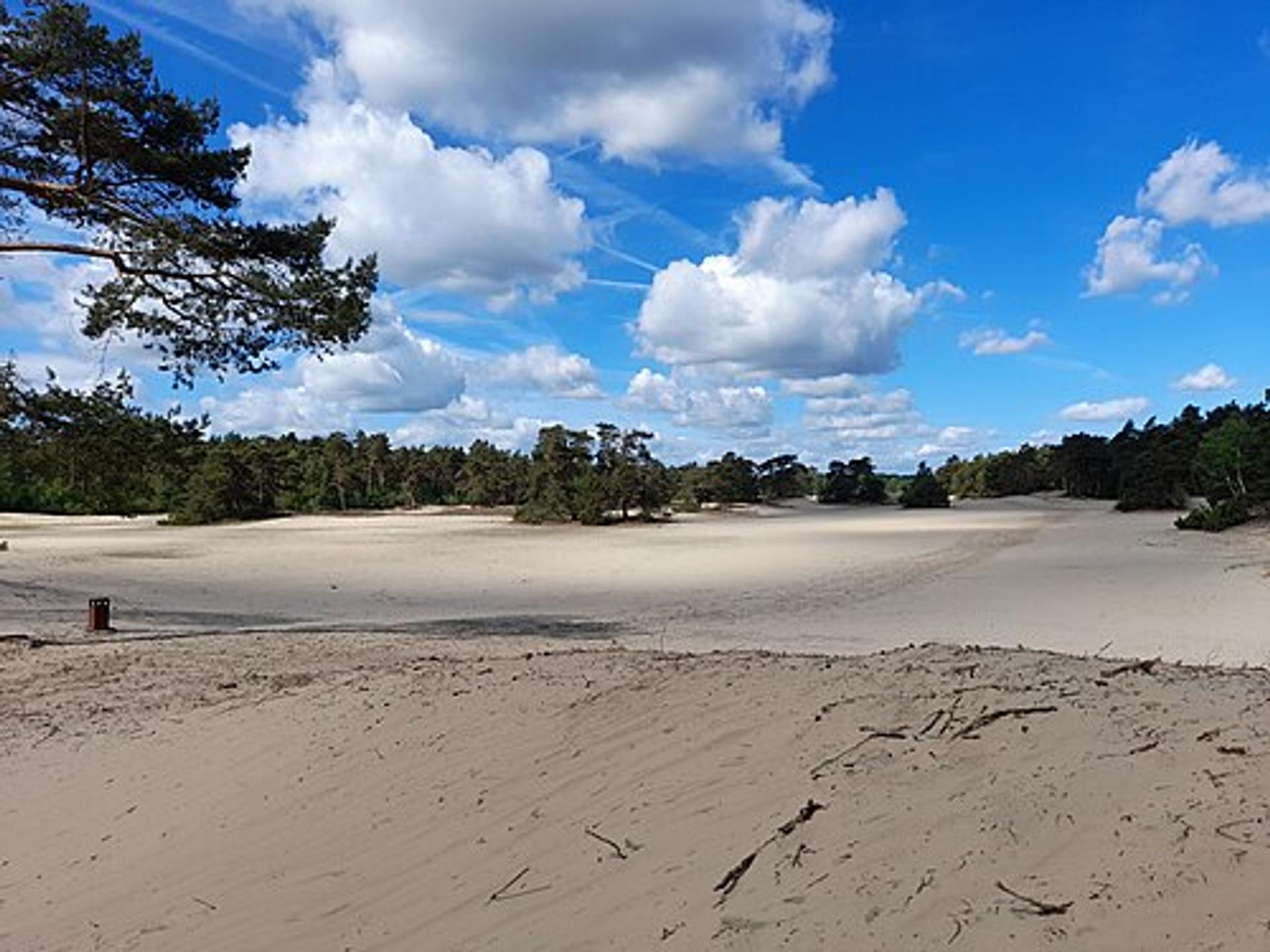 Open stuifzandvlakte van de Sahara bij Ommen met verspreide vliegdennen en heide onder een wijde lucht