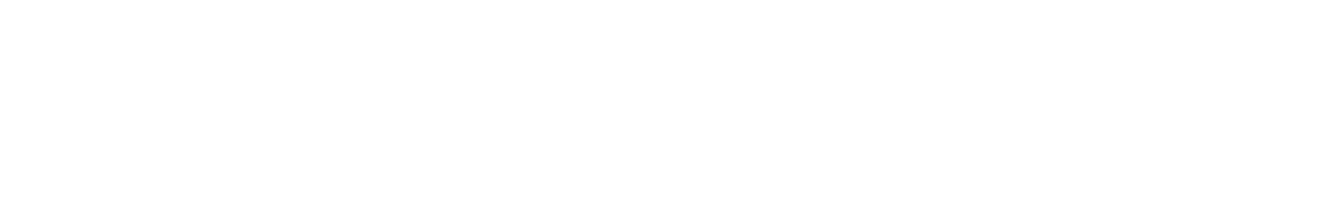 Logo Flow The Collection Beeldmerk