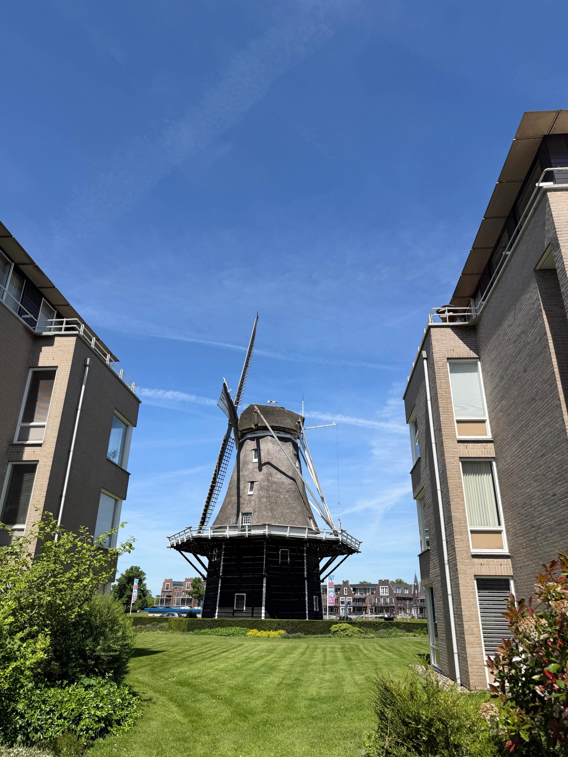 Konijnenbelt Molen Ommen