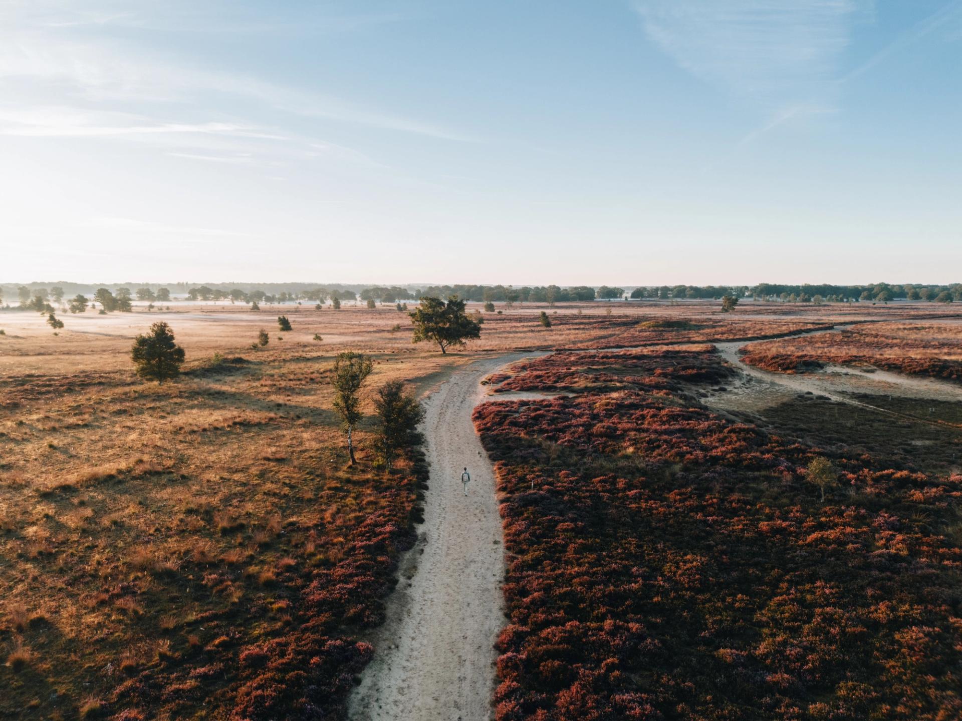 Wandelaar op een zandpad door het rode Drentse landschap, van bovenaf gezien