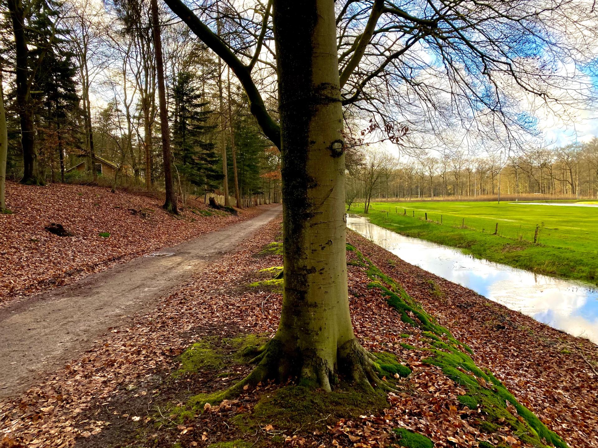 Wandelen in Overijssel