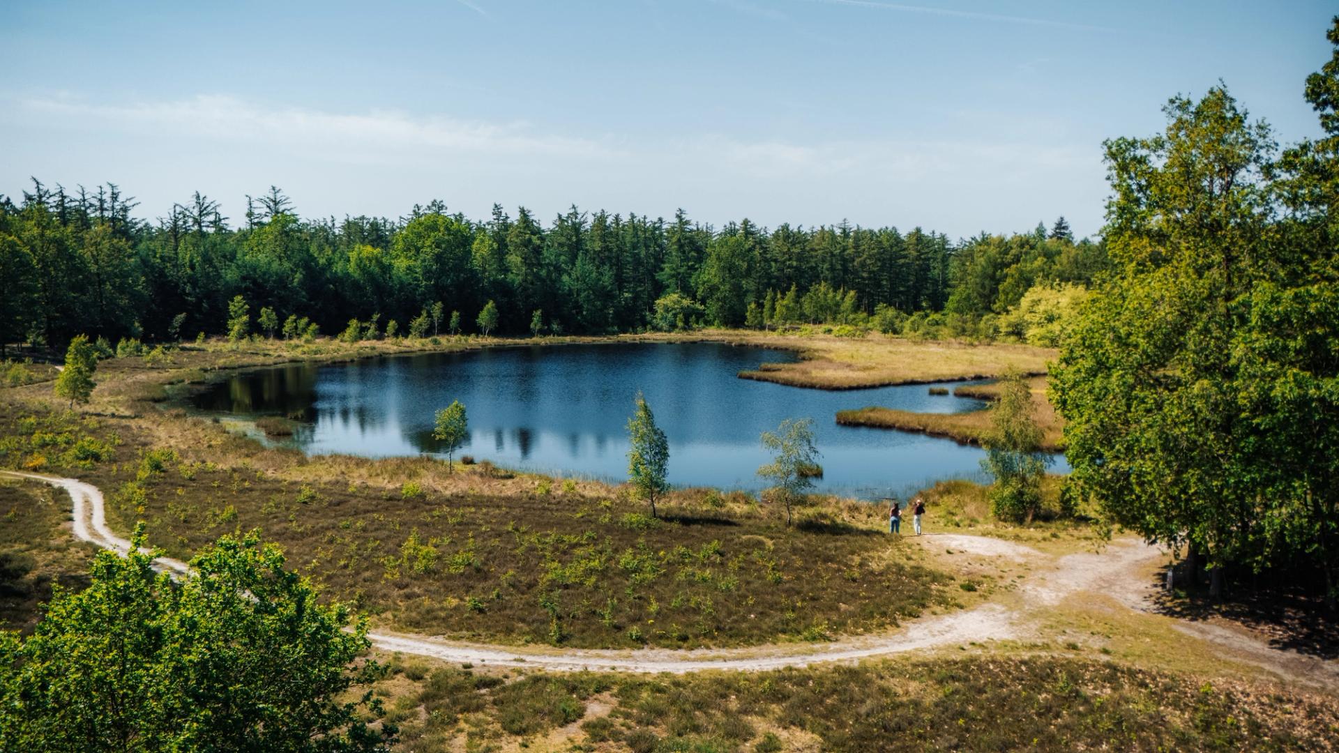 Radweg über den Hondsrug zwischen Feldern und Wald unter weitem Drenthe-Himmel