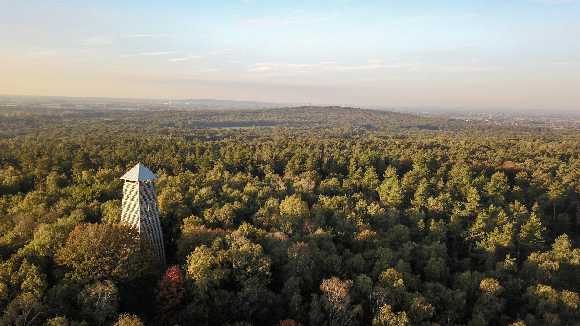 Landelijk landschap in de Achterhoek met een wandelpad, weilanden tijdens zonsondergang.