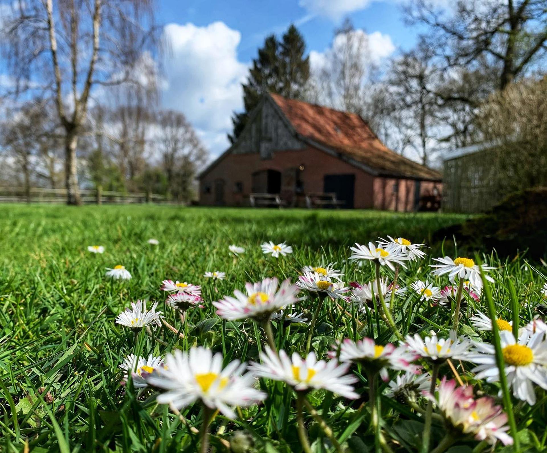 Garden Hotel De Landmarke