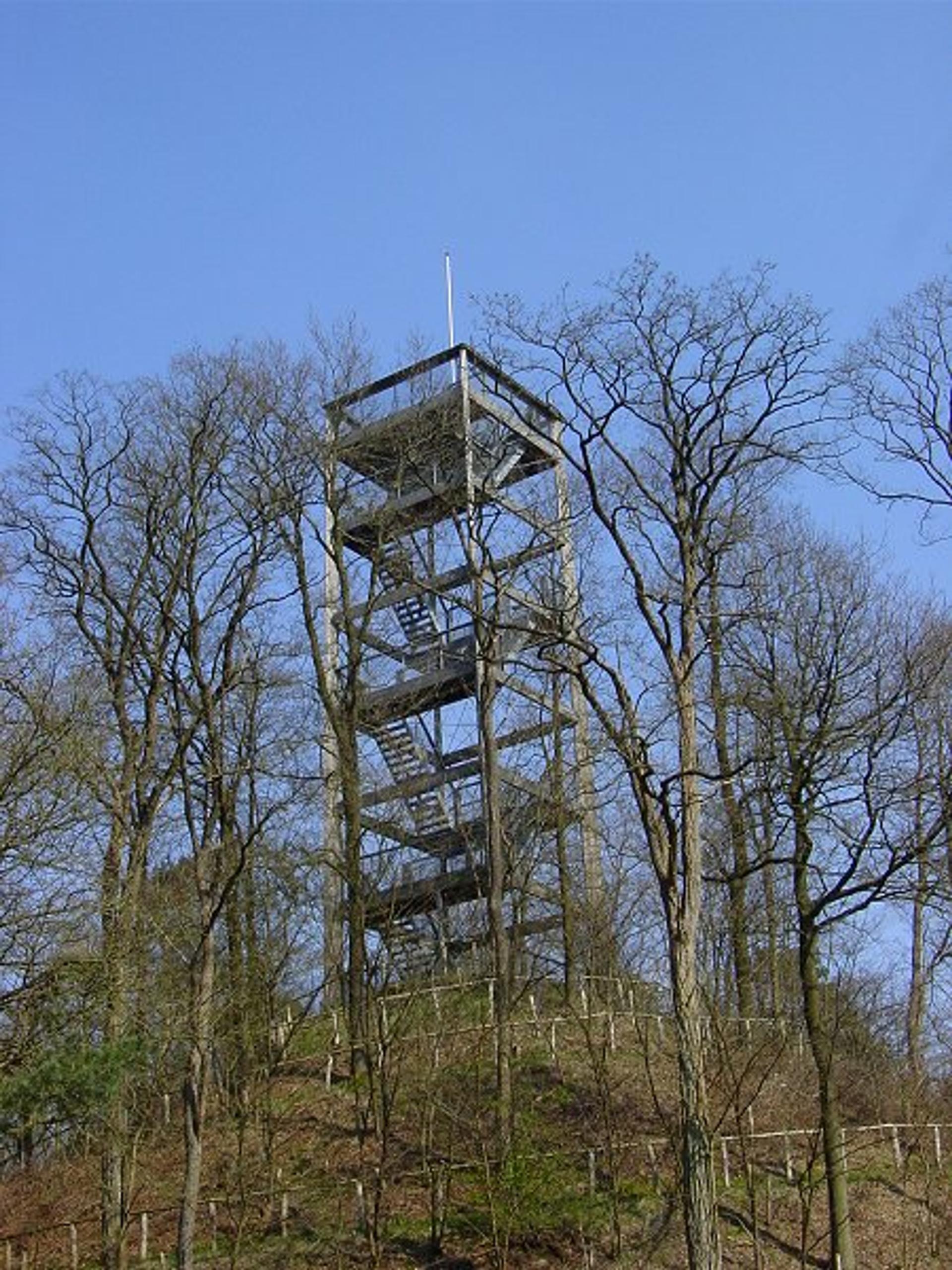Naaldbos met een open heideveld in Boswachterij Odoorn op de Hondsrug