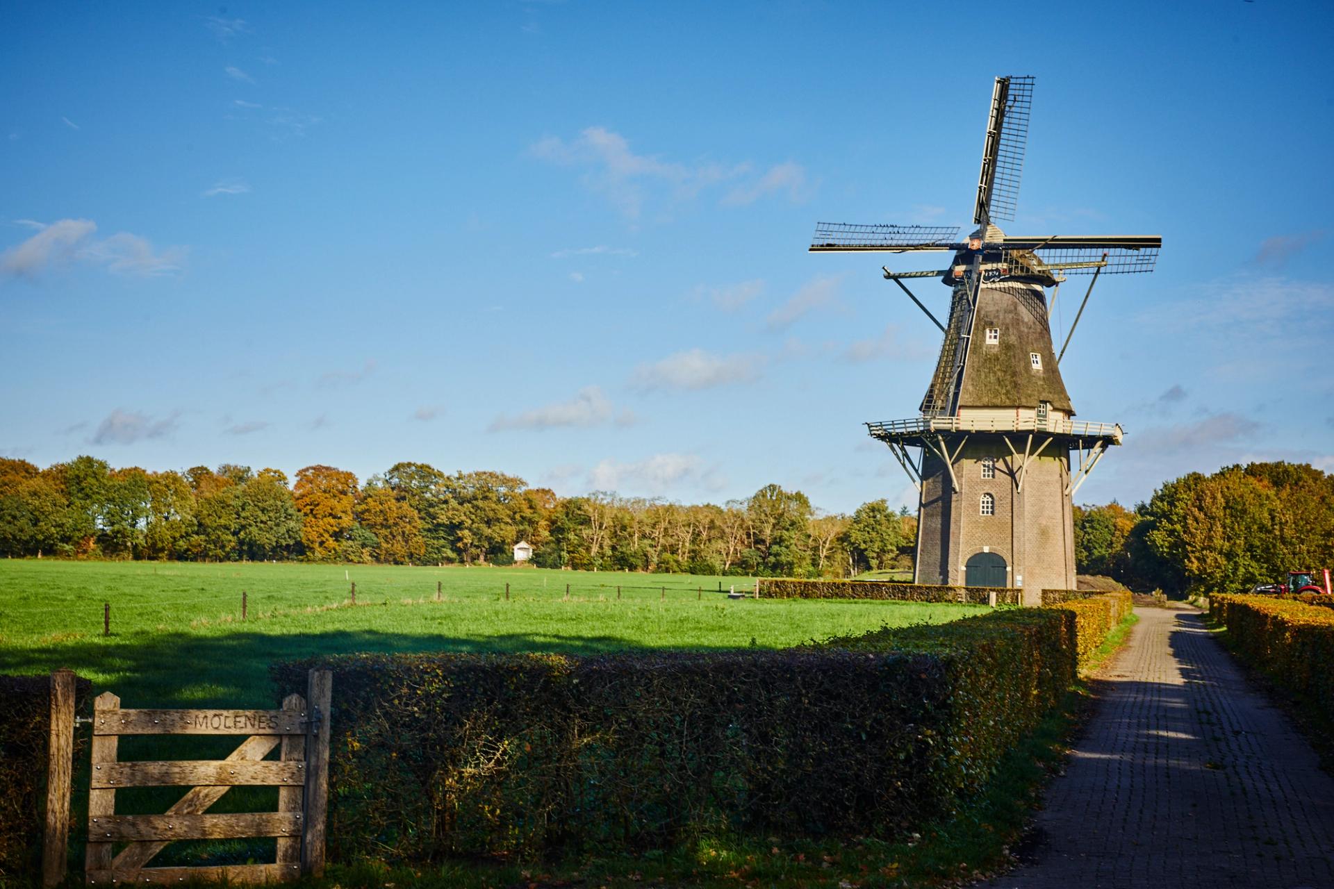 Windmolen in Ommen, Overijssel