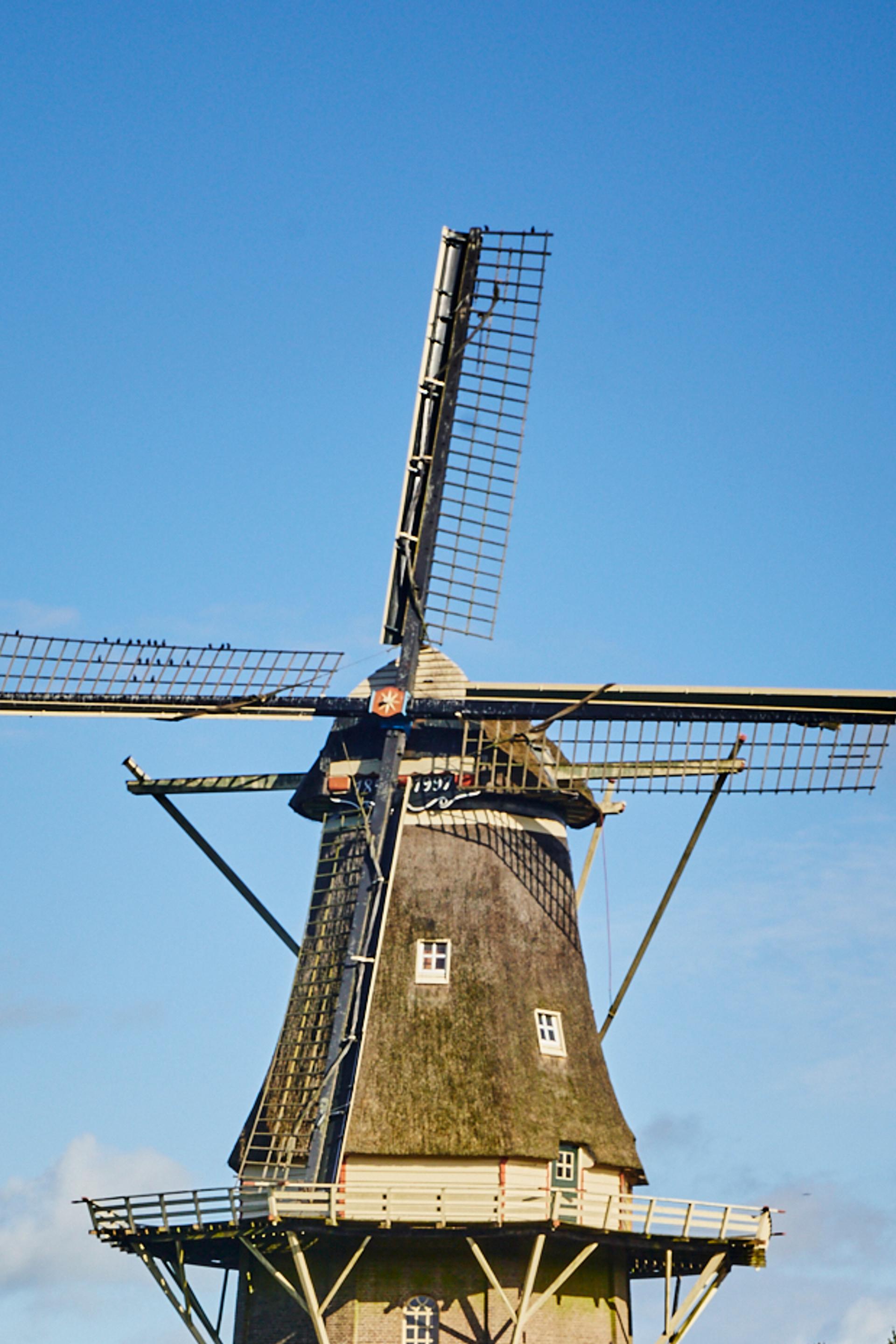 Houten korenmolen met wieken tegen een strakblauwe lucht in Ommen