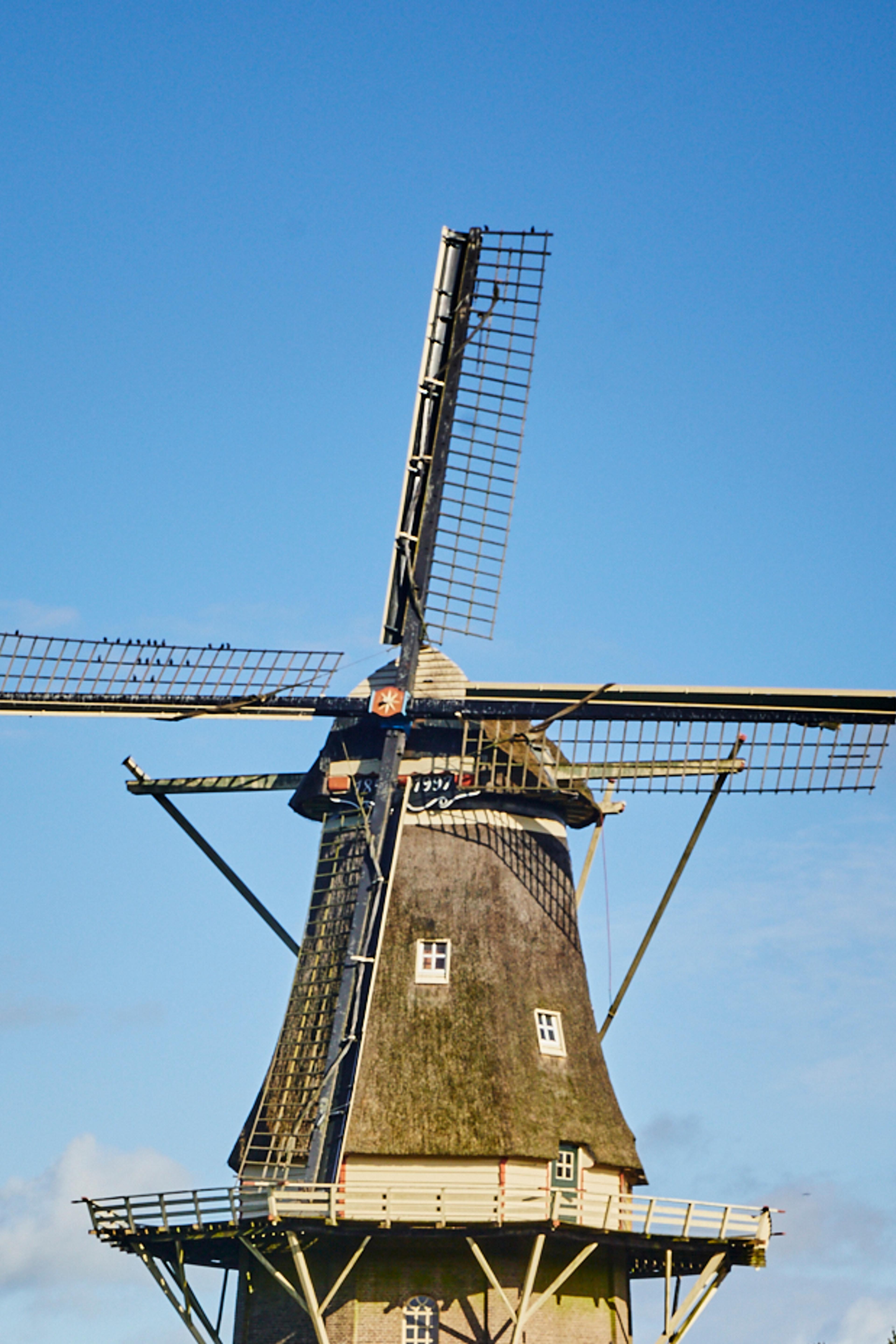 Houten korenmolen met wieken tegen een strakblauwe lucht in Ommen